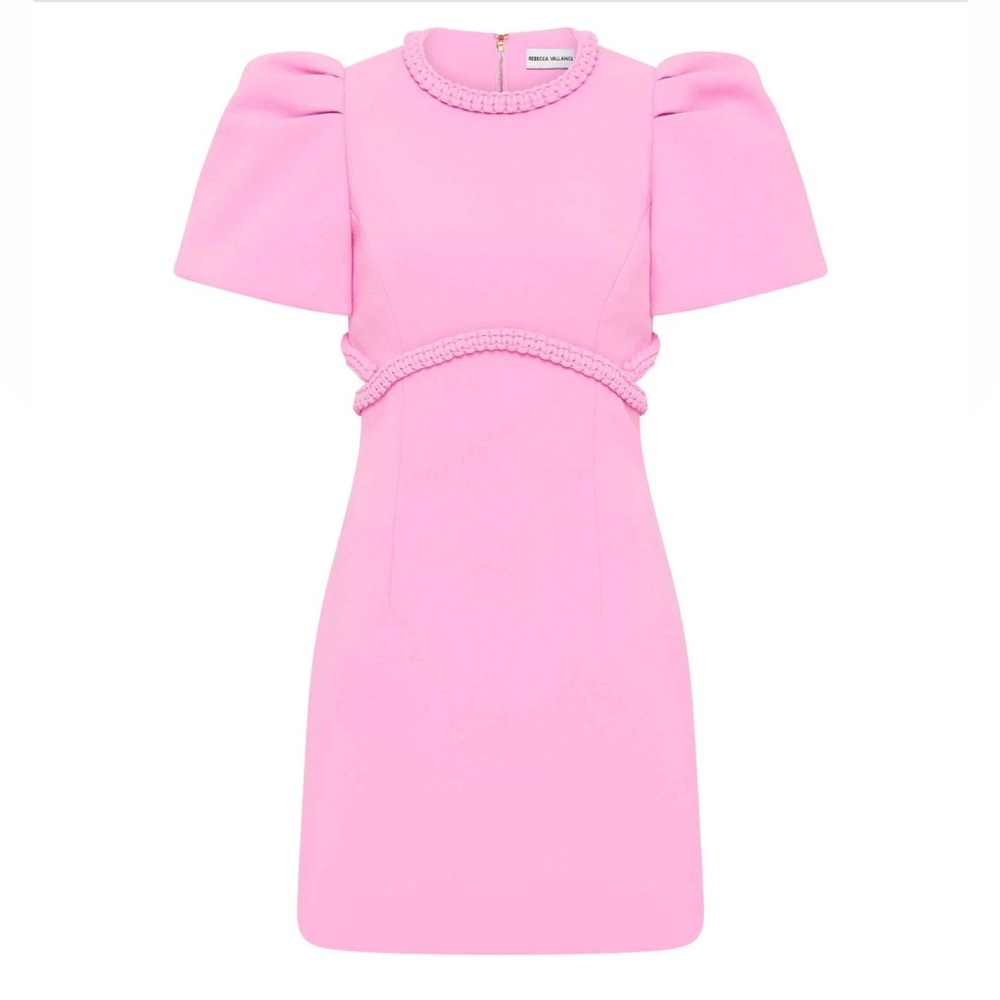NWT - Sold Out - Rebecca Vallance Rochelle Plait Mini Dress